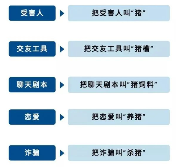 “杀猪盘”套路！广西贵港法院公开开庭审理一起在马来西亚的跨境电信网络诈骗案