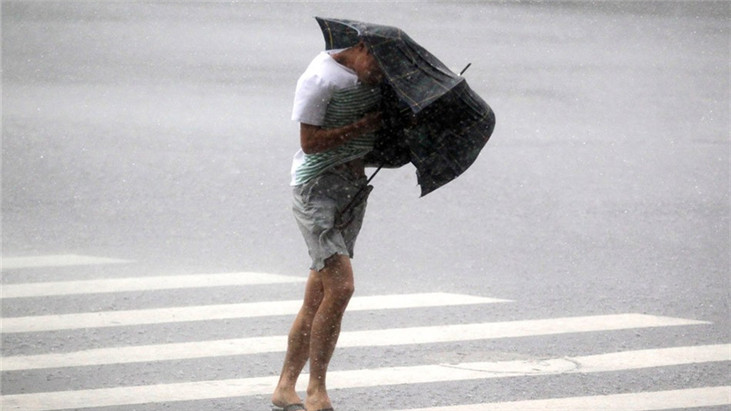 台风“普拉桑”对上海风雨影响明显，陈吉宁龚正调度部署全市防汛防台工作