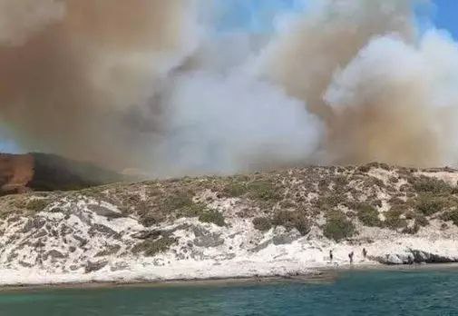 土耳其三省发生森林火灾已致3人死亡