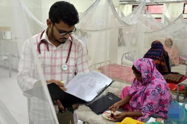 孟加拉国今年以来逾1500人死于登革热