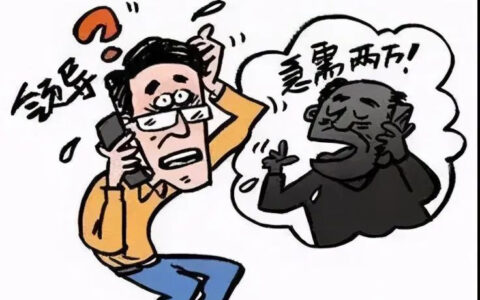 【黑吃黑】这俩人把电信诈骗团伙给“骗了”，到手30万被判数年