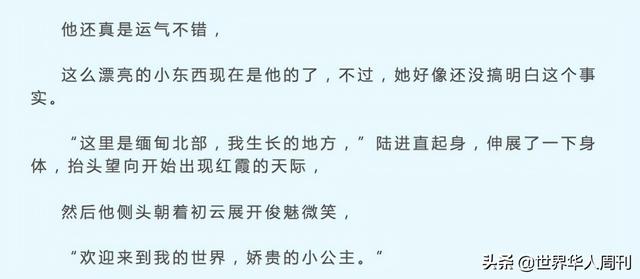 反诈主播陈警官走红背后：在东南亚，藏着一个诈骗者的“天堂”