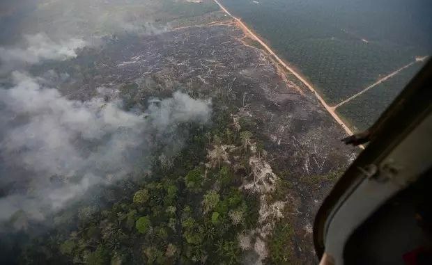 秘鲁森林火灾已造成18人死亡