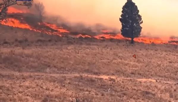 澳大利亚多地林火肆虐今年林火季提前到来