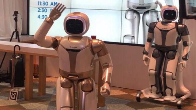 人形机器人板块表现活跃，机构称产业化有望加速