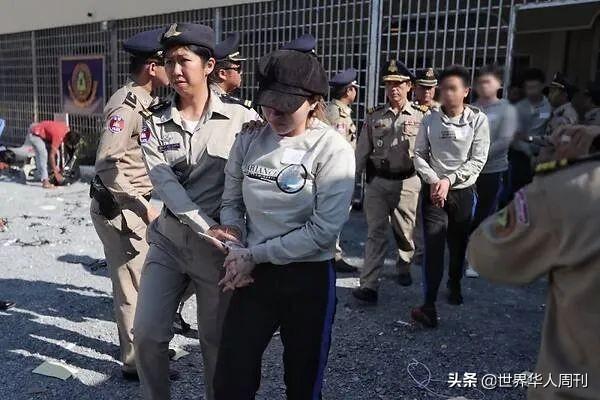 反诈主播陈警官走红背后：在东南亚，藏着一个诈骗者的“天堂”