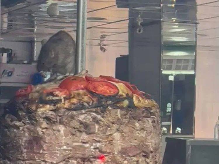 吉达一家餐厅的shawarma烤肉串上竟然出现了老鼠